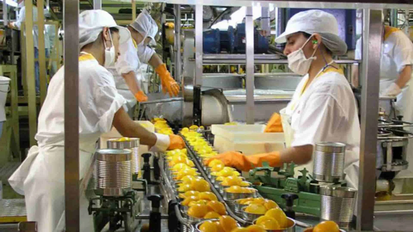 Innovaciones en la industria alimentaria: de la granja a la mesa.